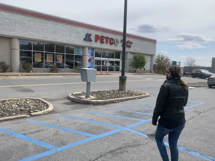Petco Picture 5