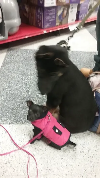 Petco Picture 1