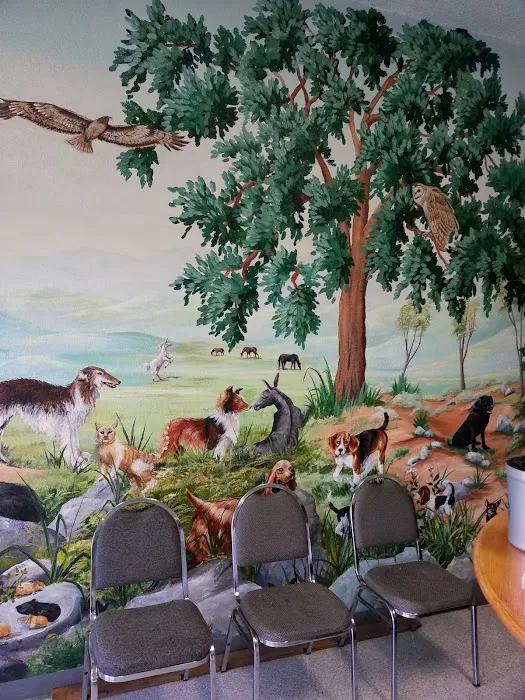 Not Just 4 Paws Animal Hospital Picture 9