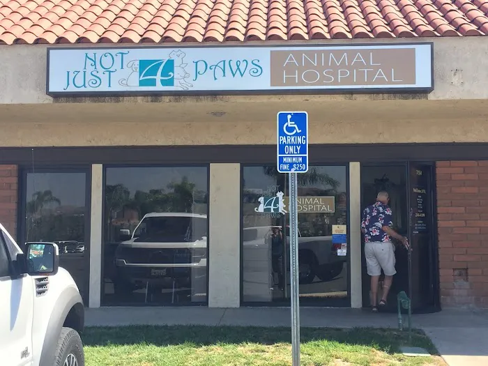 Not Just 4 Paws Animal Hospital Picture 10