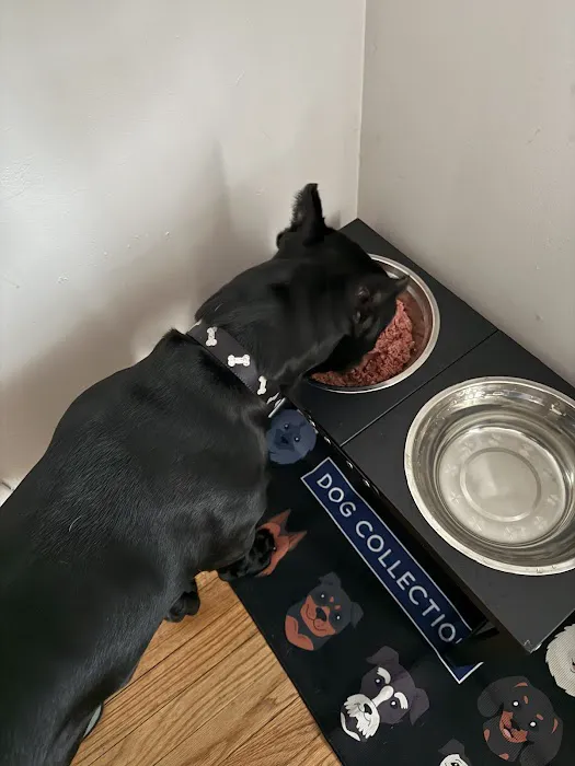 RAW K9 MEAT Picture 3