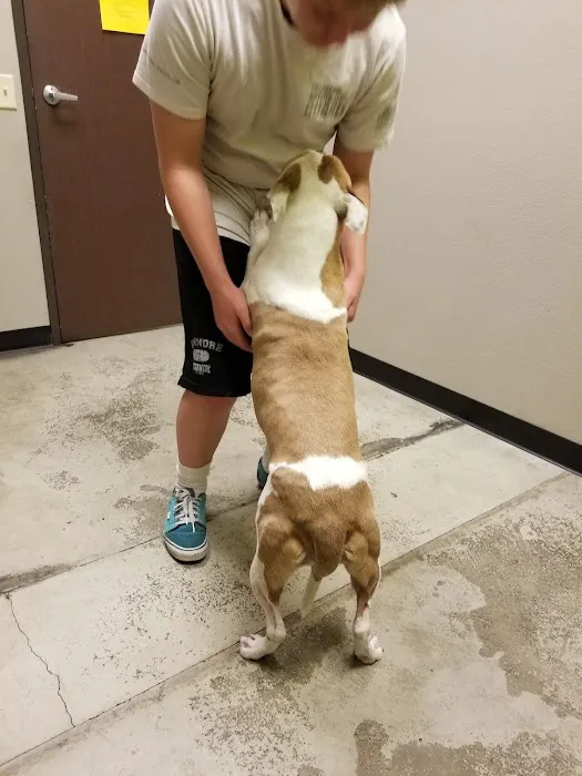 Lake Elsinore Animal Hospital at SoCalVetGroup Picture 5