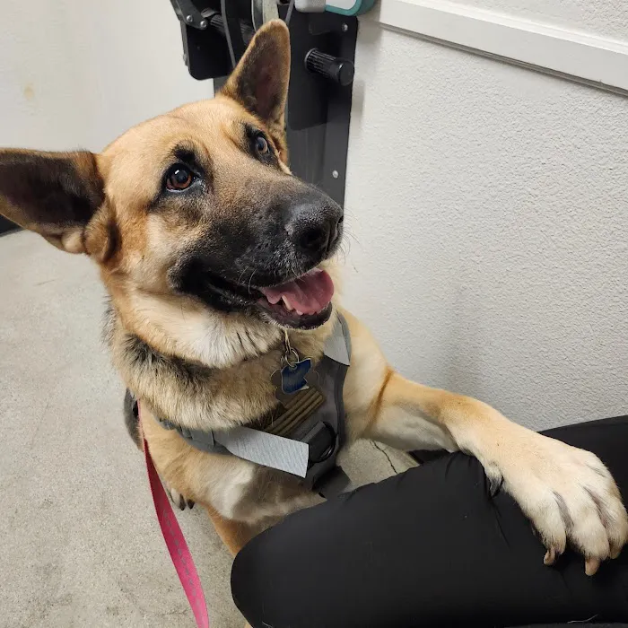Lake Elsinore Animal Hospital at SoCalVetGroup Picture 3