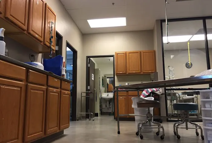 Lake Elsinore Animal Hospital at SoCalVetGroup Picture 2