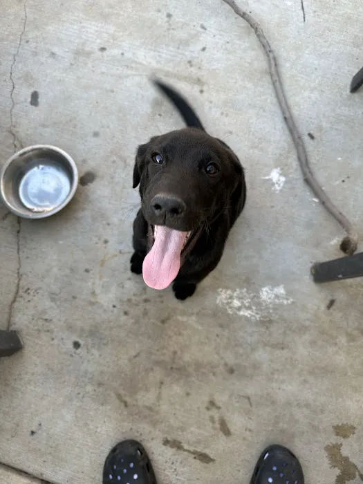 Perris Valley Veterinary Clinic Picture 4