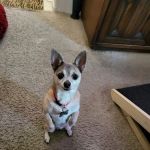 Perris Valley Veterinary Clinic