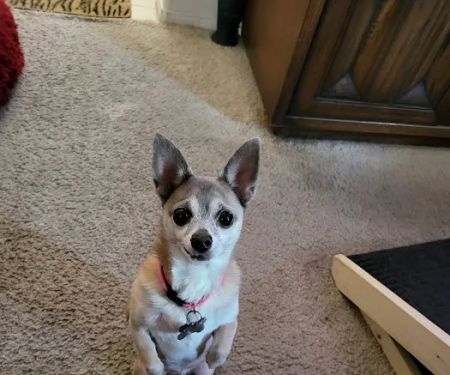 Perris Valley Veterinary Clinic