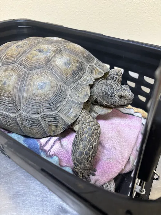 Perris Valley Veterinary Clinic Picture 2
