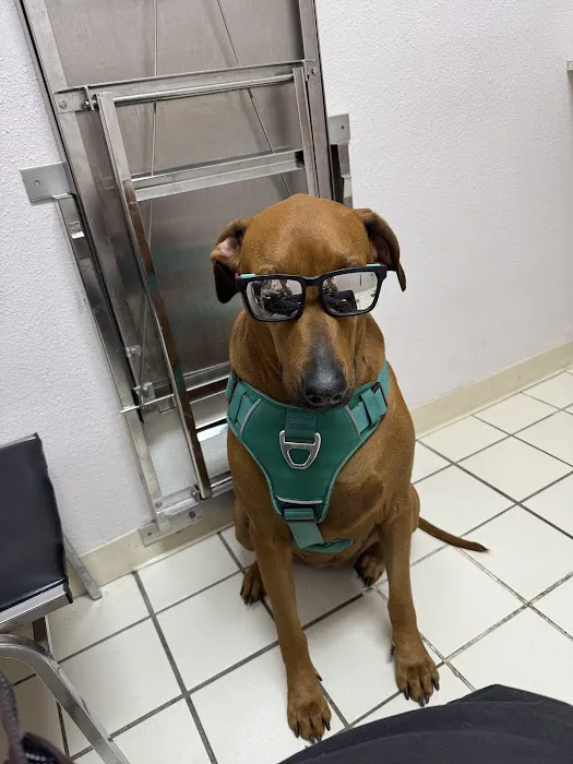 Perris Valley Veterinary Clinic Picture 8