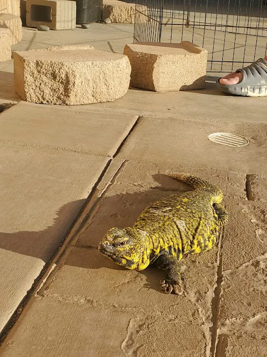Perris Valley Veterinary Clinic Picture 5