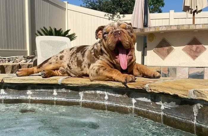 Perris Valley Veterinary Clinic Picture 10