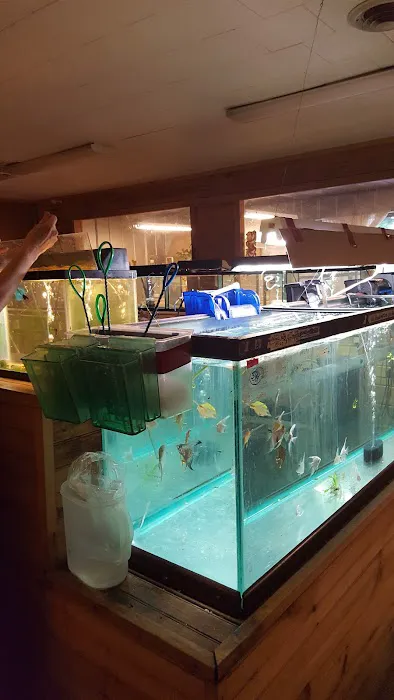 White Mills Pet Shop Picture 2