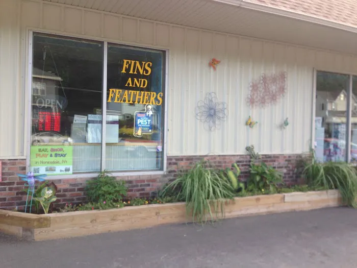 Fins And Feathers Picture 8