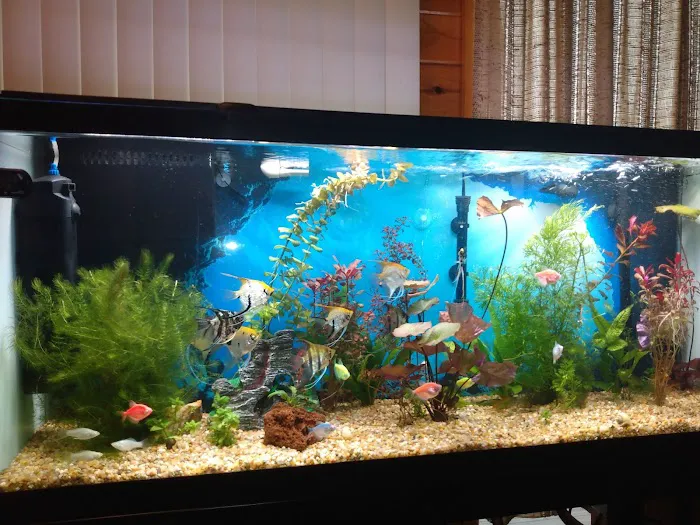 Fins And Feathers Picture 3