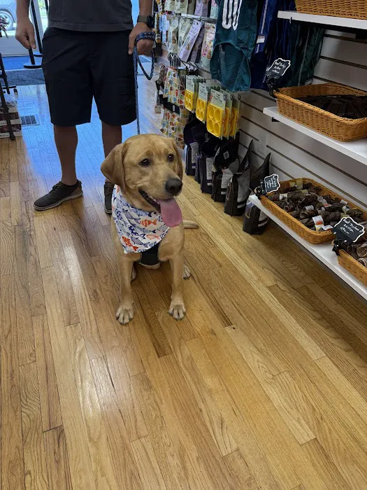 My Dog & Me Barkery and Boutique, LLC Picture 10