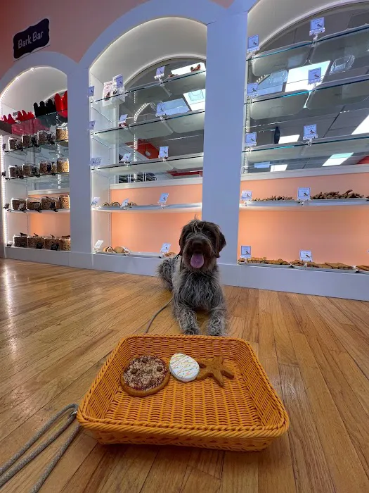 My Dog & Me Barkery and Boutique, LLC Picture 6