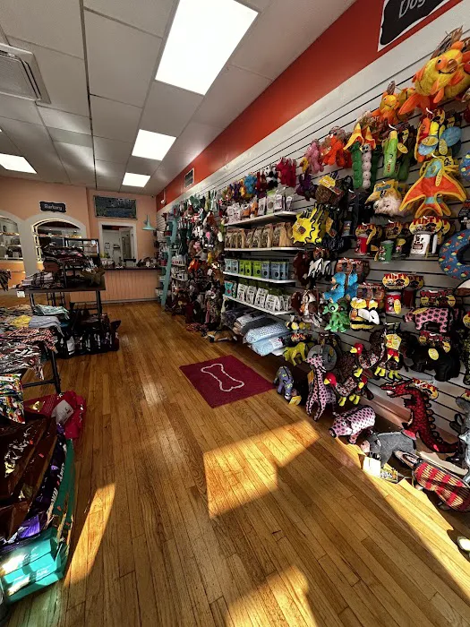 My Dog & Me Barkery and Boutique, LLC Picture 2