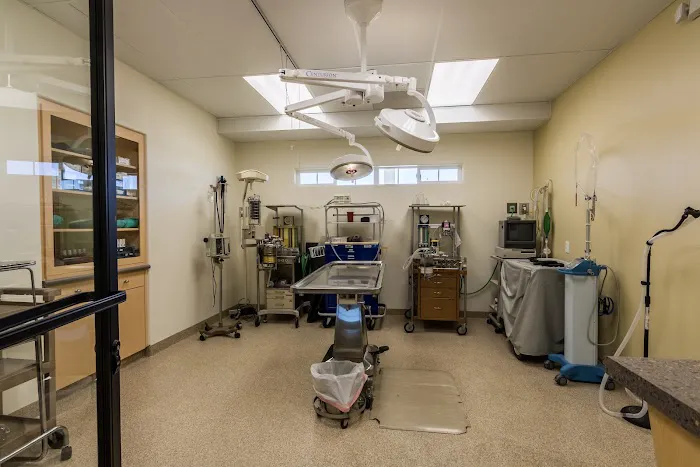 Clinton Keith Veterinary Hospital Picture 4
