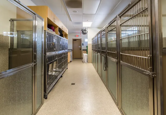 Clinton Keith Veterinary Hospital Picture 3