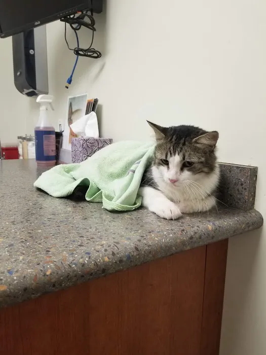 Clinton Keith Veterinary Hospital Picture 9