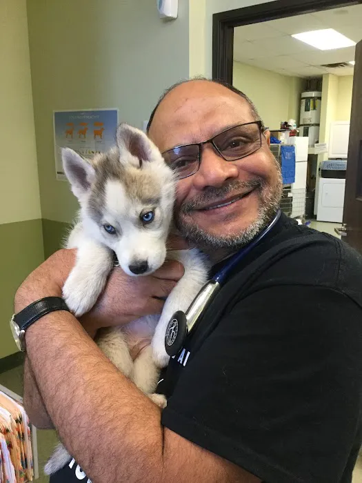 French Valley Veterinary Hospital Picture 7