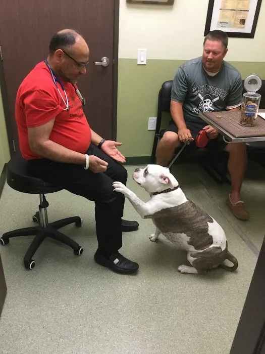 French Valley Veterinary Hospital Picture 2
