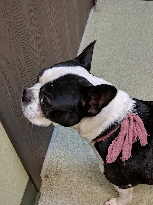 French Valley Veterinary Hospital Picture 5