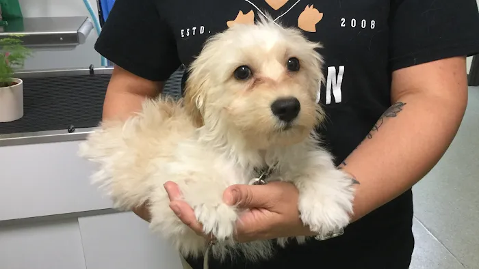 French Valley Veterinary Hospital Picture 6