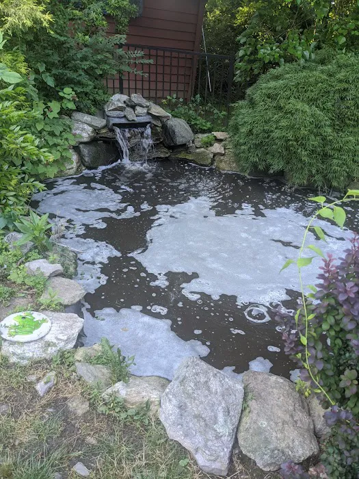 The Koi Story Fish Farm Picture 6