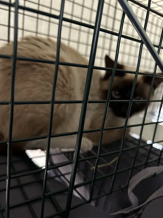 Golden Coast Veterinary Care Picture 9