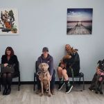 Golden Coast Veterinary Care