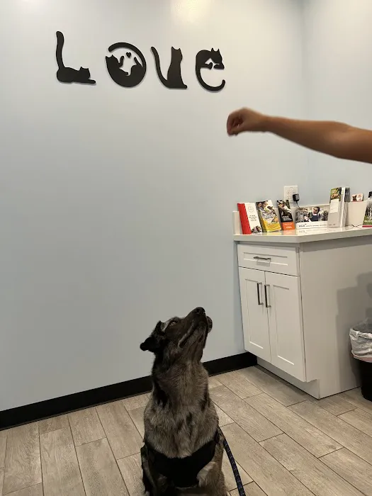 Golden Coast Veterinary Care Picture 7