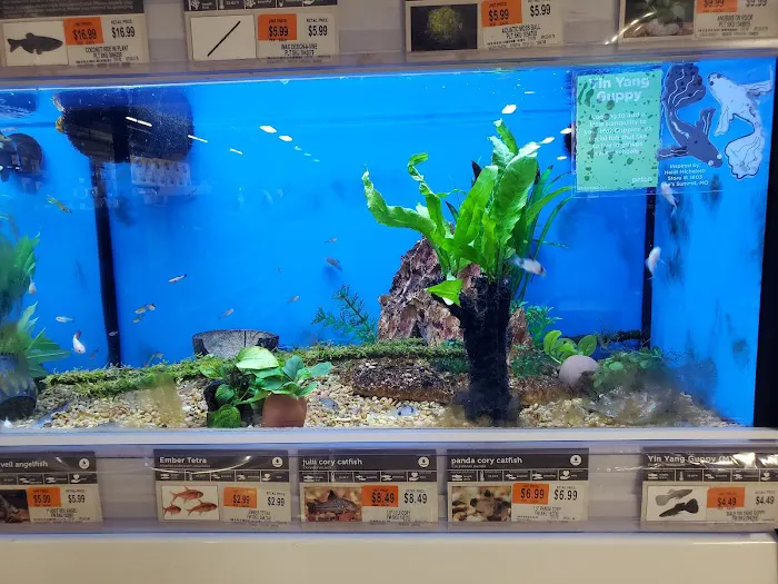 Petco Picture 5