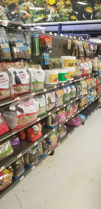 Petco Picture 3