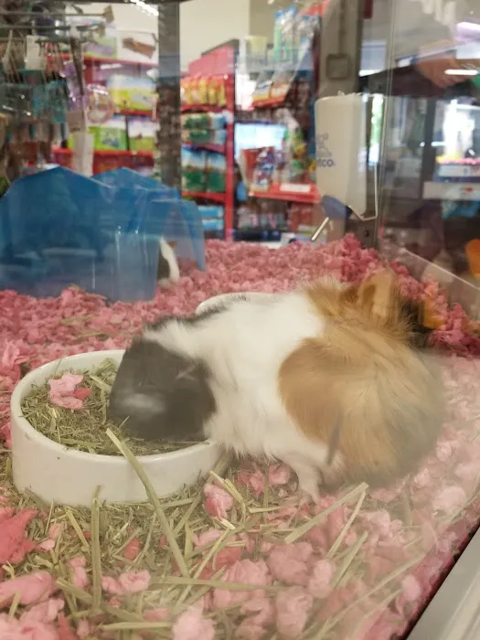 Petco Picture 1