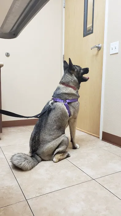 Murrieta Oaks Veterinary Hospital Picture 3