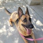 Murrieta Oaks Veterinary Hospital