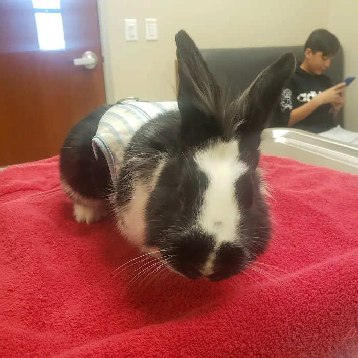 Murrieta Oaks Veterinary Hospital Picture 2