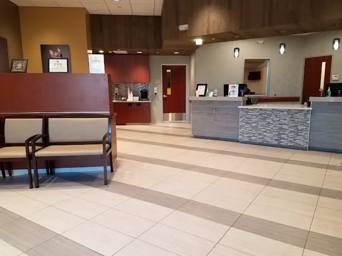 VCA California Oaks Animal Hospital Picture 4