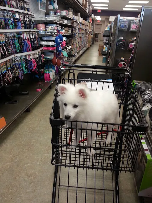 Petco Picture 8
