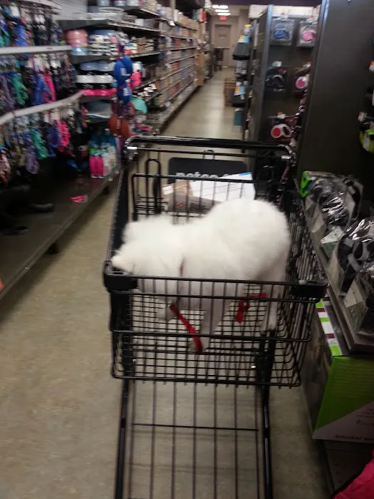 Petco Picture 9
