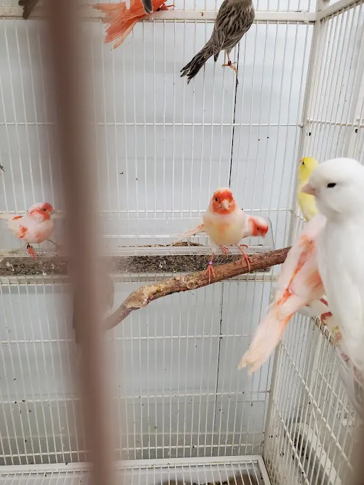 Paterson Bird Store Picture 2
