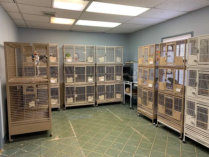 Paterson Bird Store Picture 6