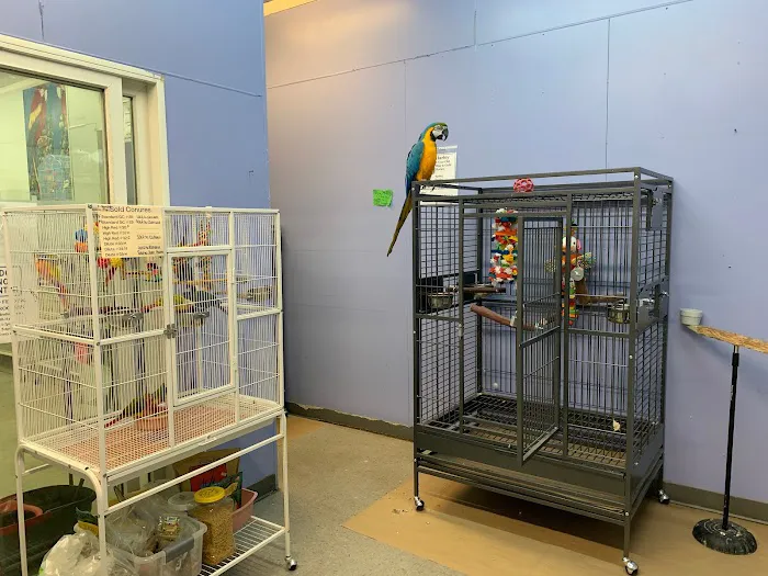 Paterson Bird Store Picture 8
