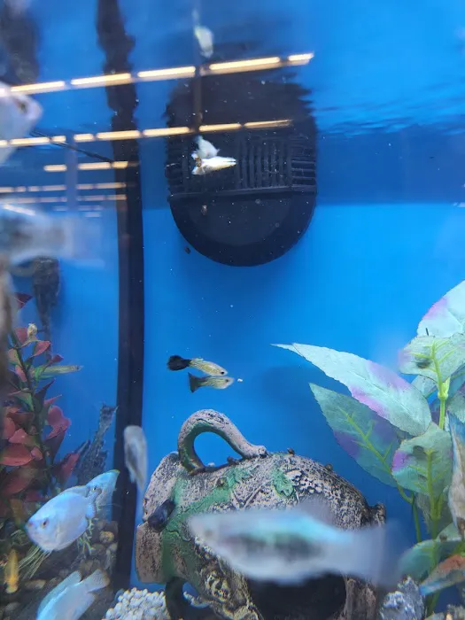 Petco Picture 8