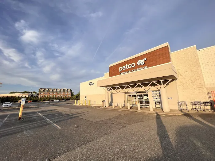 Petco Picture 2