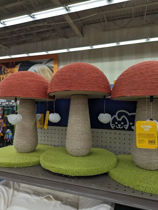 Petco Picture 9