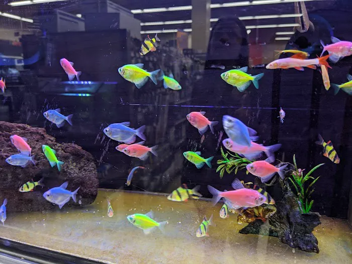 Petco Picture 10