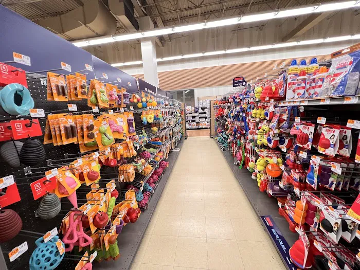 Petco Picture 3