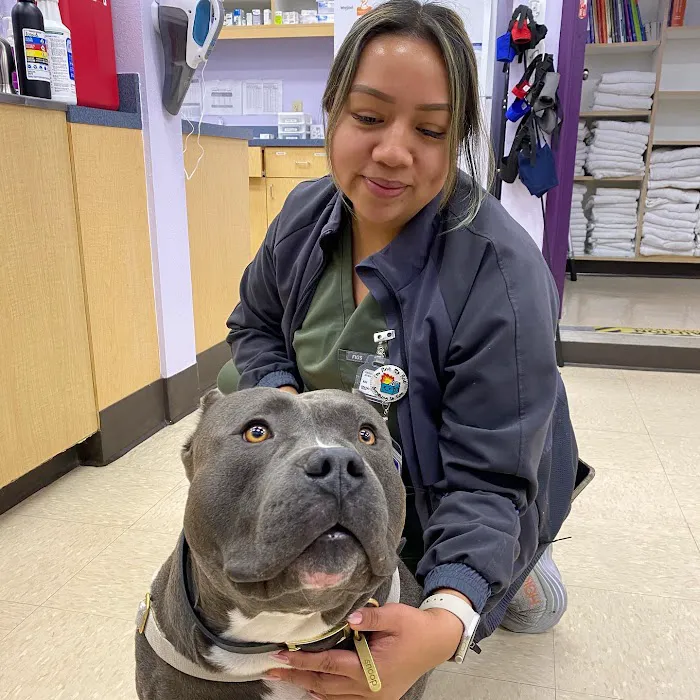 SoCal Pet Hospital Picture 6